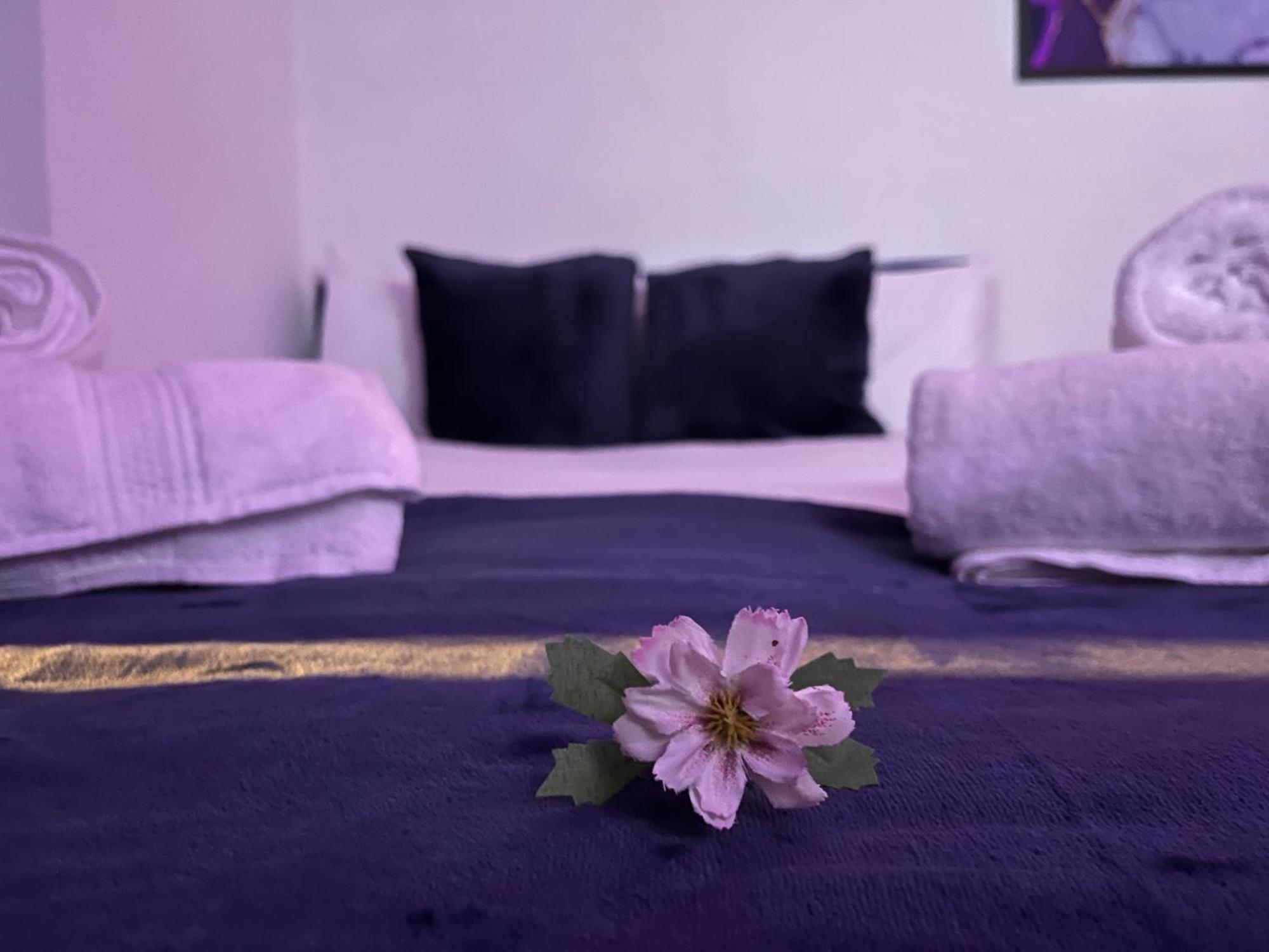 Apartment In Camden, Central Location London Bagian luar foto